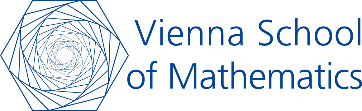 Vienna School of Mathematics (VSM)